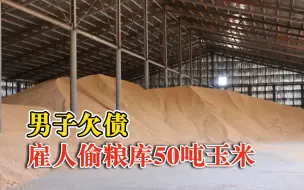 男子欠债雇人偷粮库50吨玉米：经营养殖场亏损，伙同4人实施盗窃