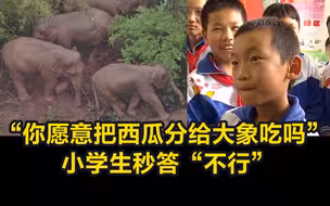 童言无忌！记者提问 “你愿意把西瓜分给大象吃吗” 小学生秒答“不行”