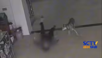 湖南一老人遭恶狗跳起撕咬面部，知情人：狗已经被打死