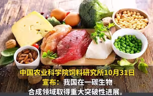 一氧化碳→蛋白质 中国技术再有新突破！