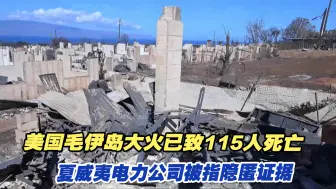 美国毛伊岛大火已致115人死亡，夏威夷电力公司被指隐匿证据