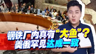 钢铁厂内真有“大鱼”！美俄罕见达成一致，拜登这一次罩不住了