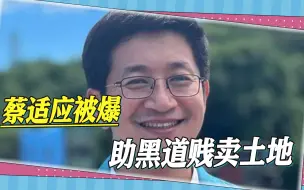 又是一起“公器私用”，蔡适应被爆助黑道，施压防务部门贱卖土地
