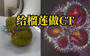 宠物医生给榴莲做CT确认果肉数量，网友：这个验榴莲的成本有点高