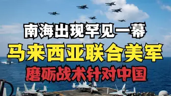 南海出现罕见一幕，马来西亚苏30飞越美航母上空，这是无声嘲讽谁