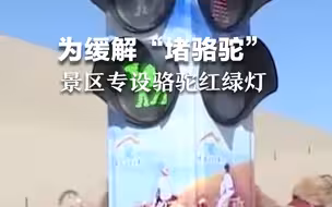 为缓解“堵骆驼”，景区专设骆驼红绿灯