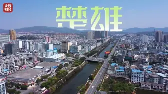 寻百强看中国｜发展特色产业，助力乡村振兴！楚雄彝绣年产值近5000万元 辽宁法库拥有全国最大驴马交易市场