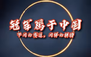 有一种骄傲叫冠军属于中国
