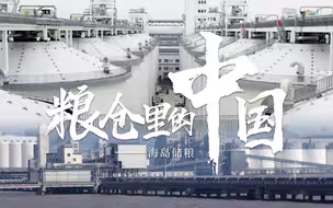 高温高湿、暴雨台风频发的海岛是如何储存粮食的？