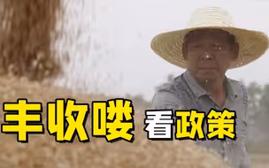 聚焦三农丨丰收喽 看政策