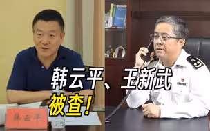 韩云平、王新武被查！
