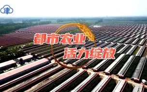 都市农业活力绽放！天津做优现代都市型农业，助力乡村振兴