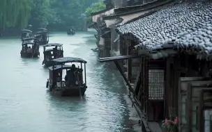 “小楼一夜听春雨，深巷明朝卖杏花”