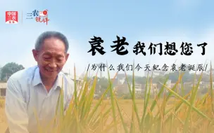 三农锐评丨袁老，我们想您了！