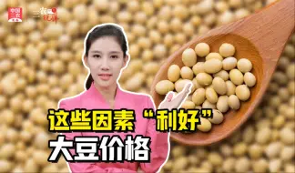 三农锐评丨这些因素“利好”大豆价格