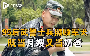 95后武警士兵当“月嫂”又当“奶爸”：照顾军犬半夜给幼犬喂奶