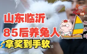 兔年说兔⑥｜小兔子大产业 临沂85后养兔人拿奖拿到手软