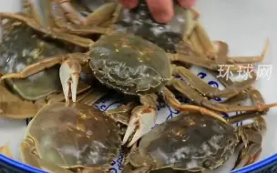 【环环每日一菜】大闸蟹到底怎么蒸？一个视频干货满满手把手教会你
