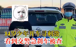 14岁少年为寻刺激开车上路：看到交警急刹车，被查谎称忘带驾照
