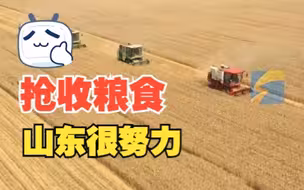 山东：省内外收割机一视同仁 用油同享5%优惠 送到田间地头