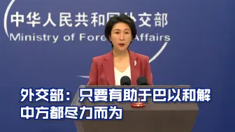 外交部：只要有助于巴以和解 中方都尽力而为