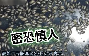 台湾旱情多严重？台媒空拍高雄观音湖干涸，上万鱼群暴毙场面惊悚