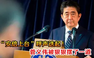 “安倍上台”呼声迭起！菅义伟被狠狠摆了一道，政治生涯或画上句号