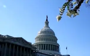 美官员：美国已暂停针对俄罗斯的网络攻击行动和计划
