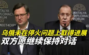 乌俄未在停火问题上取得进展，双方愿继续保持对话