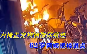 上海62岁阿姨放火烧楼，只为掩盖宠物狗乱撒尿证据？她是怀恨在心