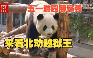 五一游园哪家强 来看北动越狱王