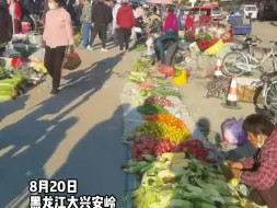 南北气温差异有多大？东北人竟然已经穿上羽绒服了。“南方现在应该挺暖和吧”