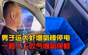 肺活量惊人！男子运大虾增氧棒半路停电，一路人工吹气增氧保鲜