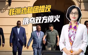 非洲提出和平方案，乌克兰明确拒绝，普京的表态尽显老辣