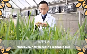 手机还可以干农活？中国农民丰收节，一起来看看现代化的中国农业