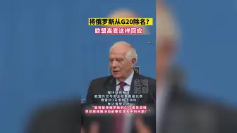 将俄罗斯从G20除名？欧盟高官这样回应