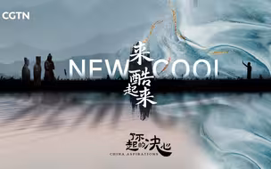《来，酷起来》-【了不起的决心】China Aspirations: What is the #NewCool like in China?