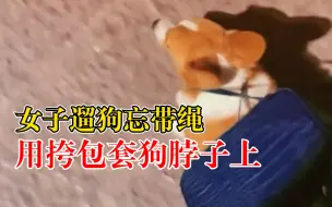 女子遛狗忘带绳用挎包套狗脖子：它很听话，知道套上绳能出去玩