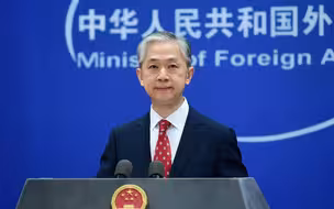 汪文斌列举美英澳加人权劣迹