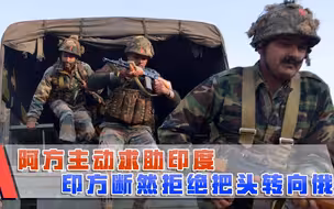 泥菩萨过河自身难保？阿方主动求助印度，印方断然拒绝把头转向俄