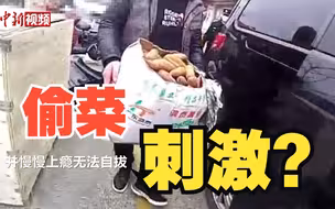 现实版“开心农场”？男子追求刺激偷电商仓库300斤菜