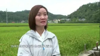 时代新农人陈梅芳 流转抛荒土地 “农二代”领军3000亩生态美丽农业