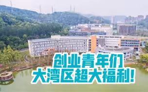 @青年们，创业之“巢”，等你来“驻”