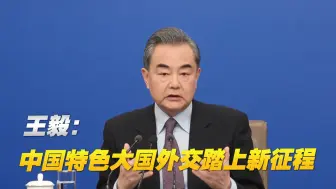 从G20到APEC，王毅：中国特色大国外交踏上新征程