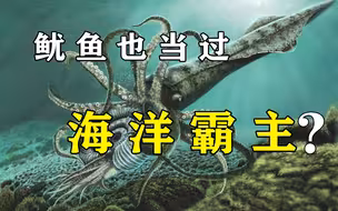 还敢不敢嘬鱿鱼了？巨箭石的逆袭！