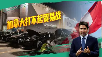 美国怂恿却遭反噬，加拿大向中方服软，还顺带冲击美元霸权