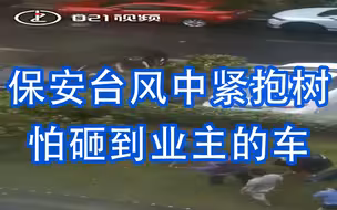 保安台风中紧抱大树怕砸到业主的车，十几名业主随即下楼帮助