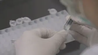 买疫苗花了多少钱？苏贞昌就是不说