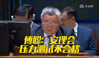 傅聪：面对此次加沙冲突，安理会压力测试不合格