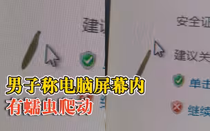 男子上班发现公司电脑屏内有活虫：不知道哪来的，之后换了个屏幕